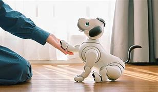 Image result for Aibo Life