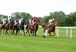 Image result for Horse Running a Racing Clip Art
