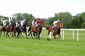 Image result for 2 Horses Racing