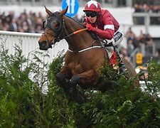 Image result for Grand National Jockey Colours