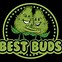 Image result for Bbuds Logo