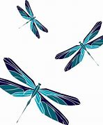 Image result for Dragonfly