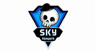 Image result for Sky eSports 4K Image