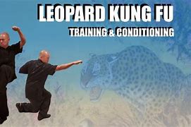 Image result for Leopard Kung Fu