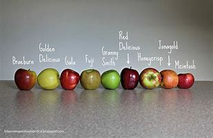 Image result for Science Fair with Different Apple's