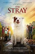 Image result for New Movie Strays