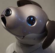 Image result for Robot Dog Japan