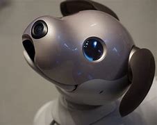 Image result for Sony Aibo Robot Dog