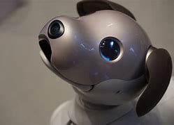 Image result for Realistic Robotic Puppy