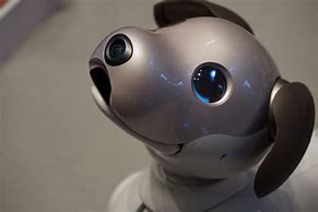 Image result for Aibo Robot