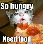 Image result for I'm so Hungry Meme