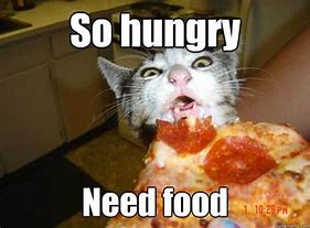 Image result for Hungry Man Meme