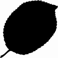 Image result for Apple Leaf SVG