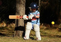 Image result for Cricket Self Play for Kids