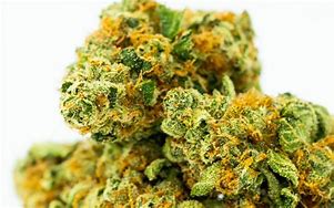 Image result for Best Marijuana Strains CBD