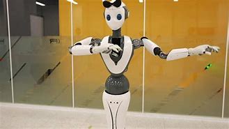 Image result for A Humanoid Robot