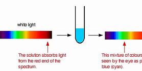 Image result for Color Become Invisible in Solution