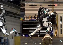 Image result for Real Humanoid Robots