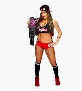 Image result for WWE Nikki Bella News