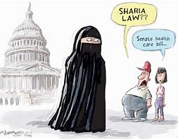 Image result for Burka Cartoon Funny