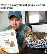 Image result for Meme Cat Names