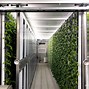 Image result for Shipping Container Farming