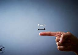 Image result for 8 Inches Items