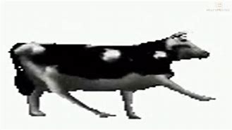 Image result for Polish Dancing Cow Ushanka
