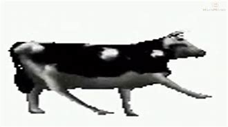 Image result for Dancing Polish Cow Funny