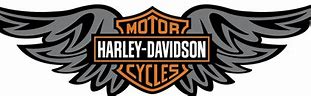 Image result for Harley-Davidson 883 Custom