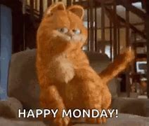 Image result for Garfield Dancing Meme
