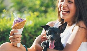 Image result for Dogs Love Ice Cream