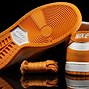 Image result for Nike SB Dunk Orange