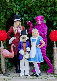 Image result for Cheshire Cat Mascot Costume