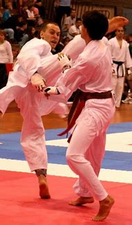 Image result for Billal Merzouk Shotokan Karate