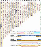 Image result for Full Human Genome