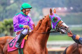 Image result for Thoroughbred Horse Racing Photos Wallpaper
