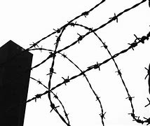 Image result for Barb Wire Clip Art in 4K