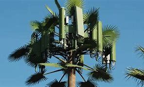 Image result for Camouflage Cell Phone Towers