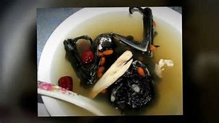Image result for Fruit Bat Soup Palau