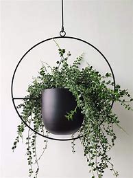 Image result for Ceiling Hanging Plant Holder