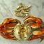 Image result for Raw Crab