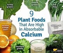 Image result for Vegan Foods High in Calcium