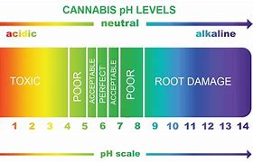 Image result for Cannabis Ph Chart