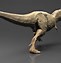 Image result for 3D Dinosaur Head