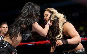 Image result for AJ Lee and Kaitlyn