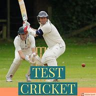 Image result for Cricket Follow Through