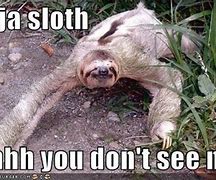 Image result for Sad Sloth Meme
