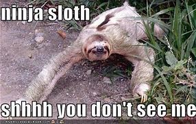 Image result for Love You Meme Sloth