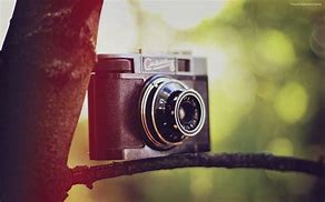 Image result for Cute Camera Pictures